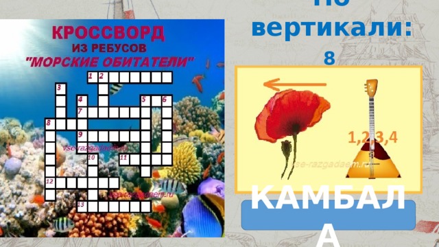 По вертикали: 8 КАМБАЛА                                        