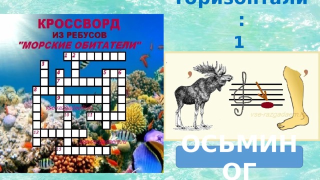 По горизонтали: 1 ОСЬМИНОГ 