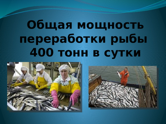 Рыборазделочный цех 