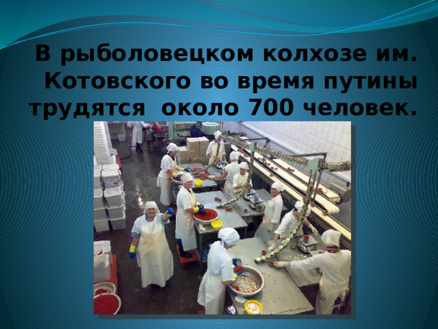 Общая мощность переработки рыбы  400 тонн в сутки 