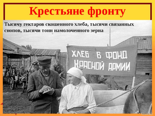 Крестьяне фронту Тысячу гектаров скошенного хлеба, тысячи связанных снопов, тысячи тонн намолоченного зерна   