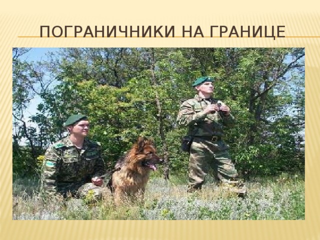 Пограничники на границе 