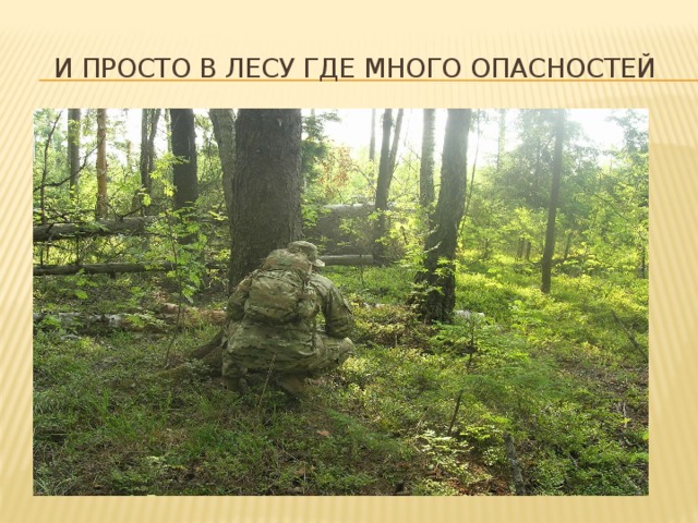И просто в лесу где много опасностей 