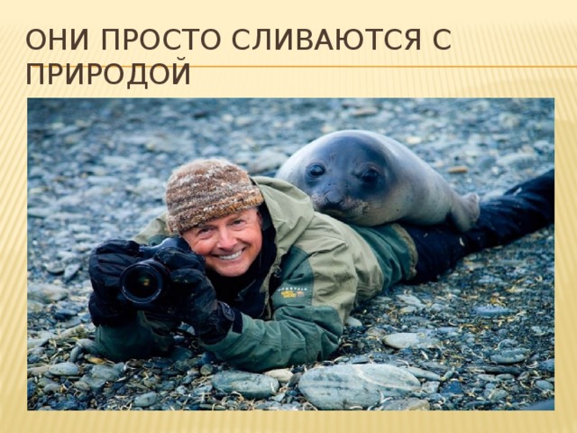 Они просто сливаются с природой 