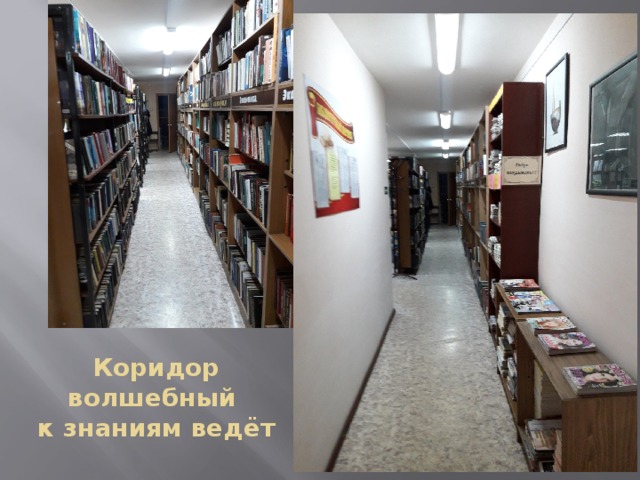 Коридор волшебный  к знаниям ведёт 