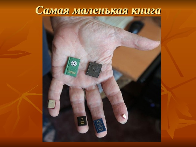 Самая маленькая книга 