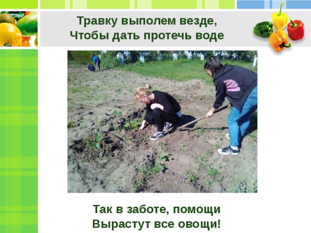 Травку выполем везде,  Чтобы дать протечь воде Так в заботе, помощи Вырастут все овощи! 