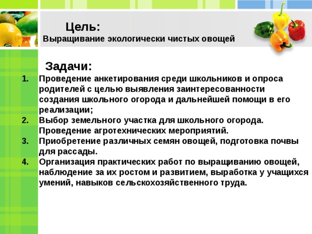   Цель:  Выращивание экологически чистых овощей   Задачи: Проведение анкетирования среди школьников и опроса родителей с целью выявления заинтересованности создания школьного огорода и дальнейшей помощи в его реализации; Выбор земельного участка для школьного огорода. Проведение агротехнических мероприятий. Приобретение различных семян овощей, подготовка почвы для рассады. Организация практических работ по выращиванию овощей, наблюдение за их ростом и развитием, выработка у учащихся умений, навыков сельскохозяйственного труда.  2 4  