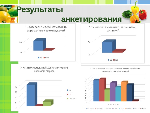 Результаты  анкетирования 