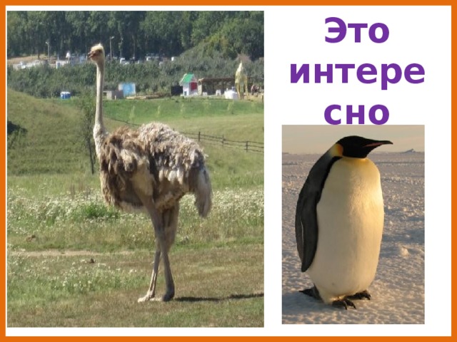 Это интересно 