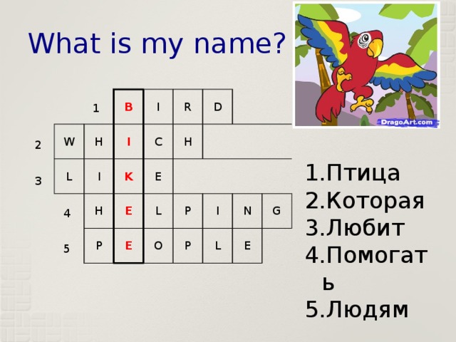 What is my name? W H B L I I I C H K R D H P E E L E O P I P N L G E 1 2 Птица Которая Любит Помогать Людям 3 4 5 