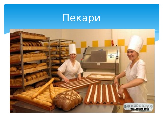Пекари 