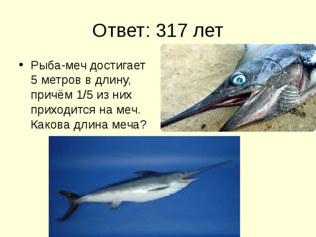 Ответ: 317 лет Рыба-меч достигает 5 метров в длину, причём 1/5 из них приходится на меч. Какова длина меча? 