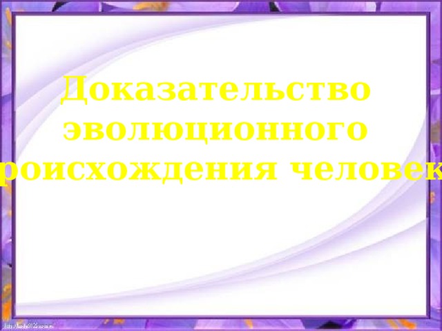 Доказательство эволюционного происхождения человека 