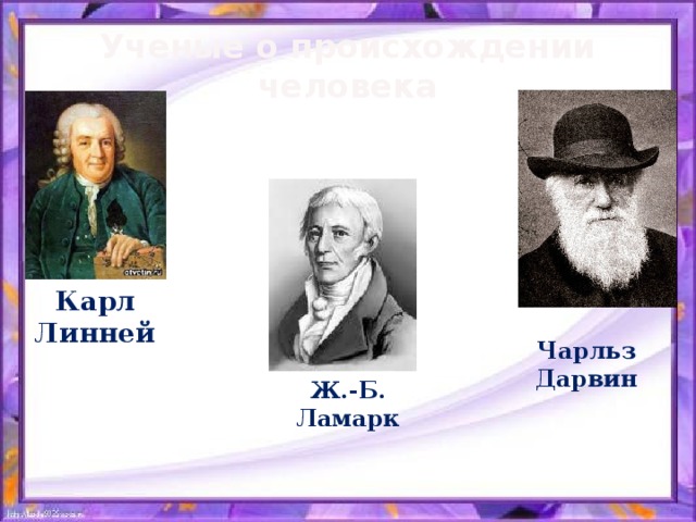 Ученые о происхождении человека Карл Линней Чарльз Дарвин Ж.-Б. Ламарк 