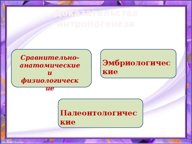 Доказательства  антропогенеза Сравнительно-анатомические и физиологические Эмбриологические Палеонтологические 