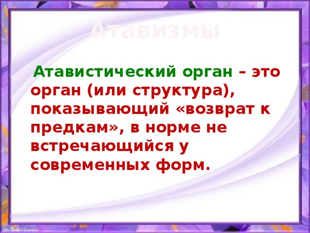 Атавизмы  Атавистический орган – это орган (или структура), показывающий «возврат к предкам», в норме не встречающийся у современных форм. 
