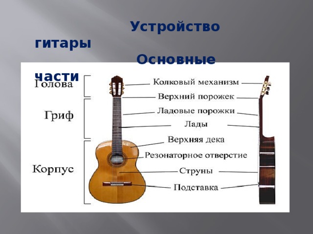Устройство гитары  Основные части