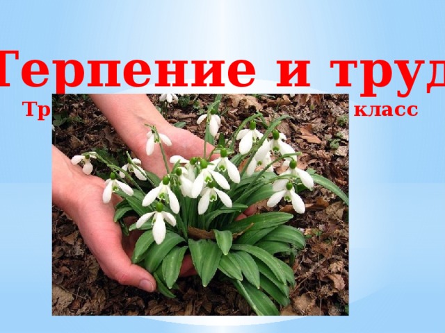 Терпение и труд Трудовая мораль ОРКиСЭ 4 класс 