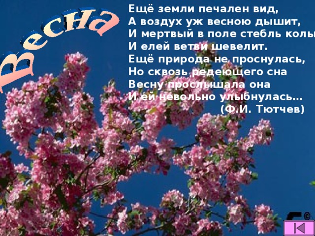 Ещё земли печален вид, А воздух уж весною дышит, И мертвый в поле стебль колышет, И елей ветви шевелит. Ещё природа не проснулась, Но сквозь редеющего сна Весну прослышала она И ей невольно улыбнулась…  (Ф.И. Тютчев)