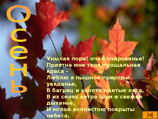 Унылая пора! очей очарованье! Приятна мне твоя прощальная краса – Люблю я пышное природы увяданье, В багрец и золото одетые леса, В их сенях ветра шум и свежее дыханье, И мглой волнистою покрыты небеса, И редкий солнца луч, и первые морозы, И отдалённые седой зимы угрозы. («Осень» А.С. Пушкин)