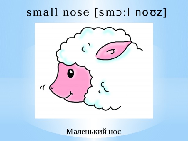 small nose [sm Ɔ :l noʊz ] Маленький нос 