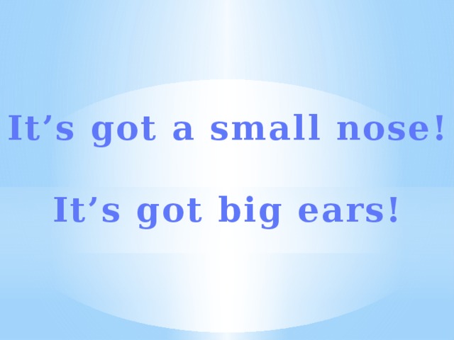It’s got a small nose!  It’s got big ears! 