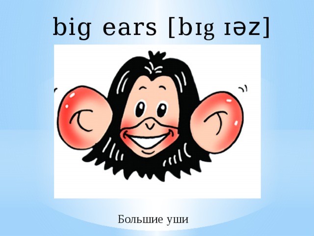 big ears [b ɪg ɪ әz ] Большие уши 