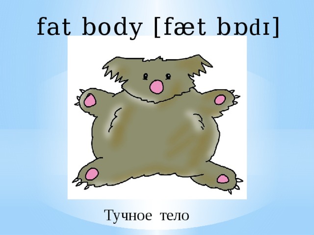 fat body [fæt b ɒdɪ ] Тучное тело 