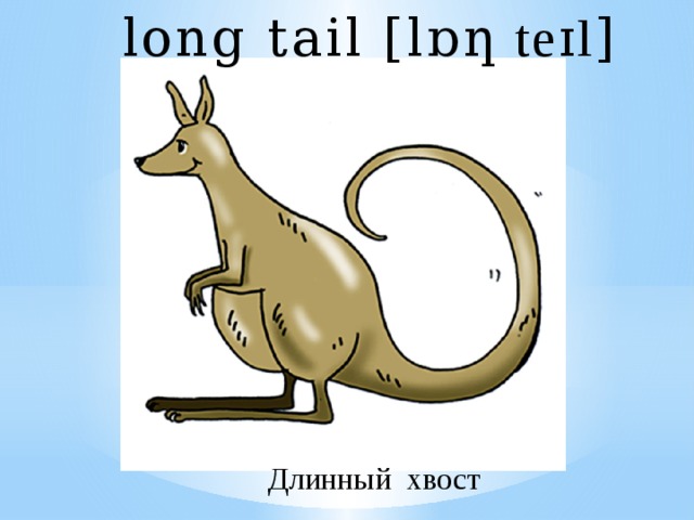 long tail [l ɒƞ teɪl ] Длинный хвост 