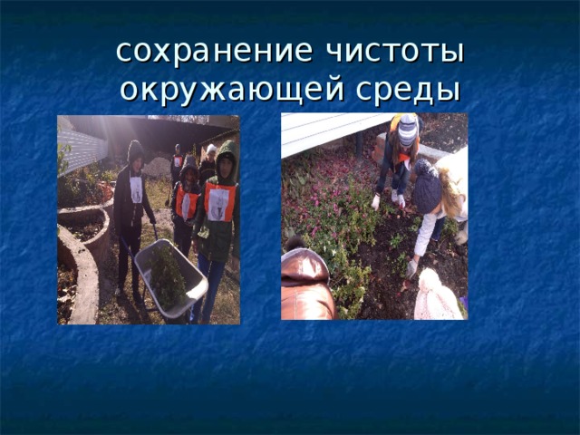 сохранение чистоты окружающей среды 