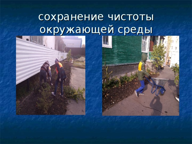 сохранение чистоты окружающей среды 