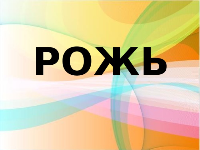РОЖЬ 