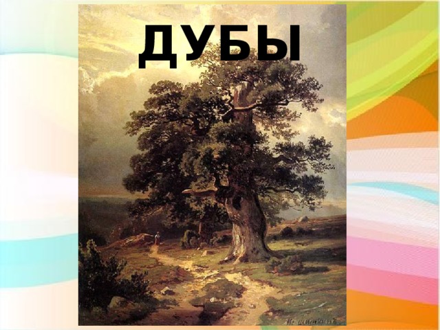 ДУБЫ 