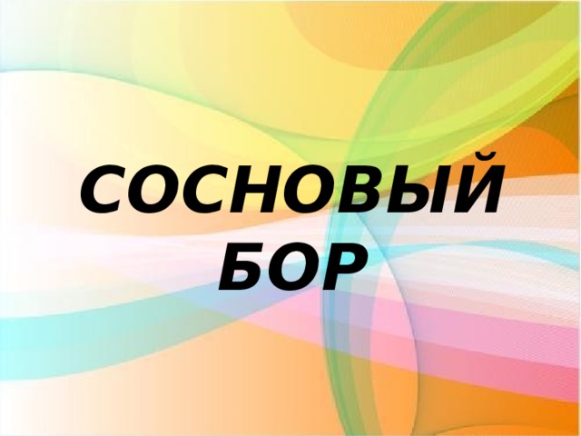 СОСНОВЫЙ БОР 