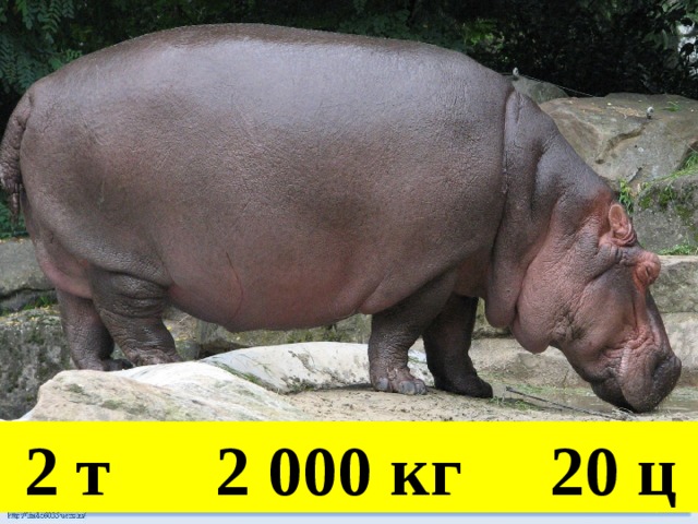 Кто прав?  2 т 2 000 кг 20 ц 