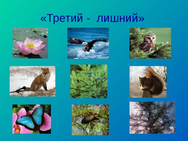 «Третий - лишний»  