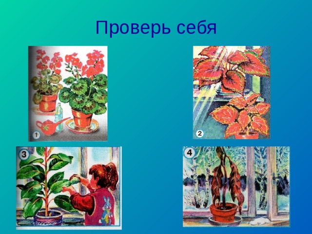 Проверь себя 