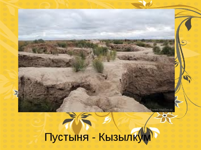 Пустыня - Кызылкум 