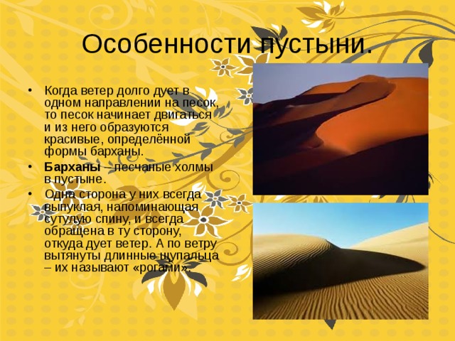 Особенности пустыни. Когда ветер долго дует в одном направлении на песок, то песок начинает двигаться и из него образуются красивые, определённой формы барханы. Барханы – песчаные холмы в пустыне. Одна сторона у них всегда выпуклая, напоминающая сутулую спину, и всегда обращена в ту сторону, откуда дует ветер. А по ветру вытянуты длинные щупальца – их называют « рогами». 