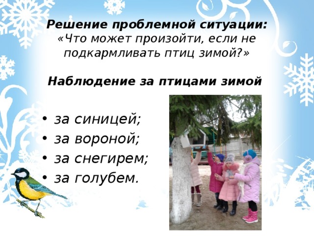 Решение проблемной ситуации:  «Что может произойти, если не подкармливать птиц зимой?»   Наблюдение за птицами зимой   за синицей; за вороной; за снегирем; за голубем. 