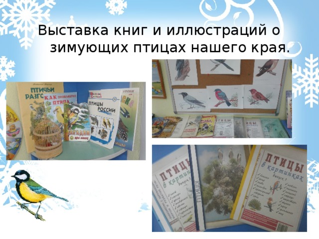 Выставка книг и иллюстраций о зимующих птицах нашего края. 
