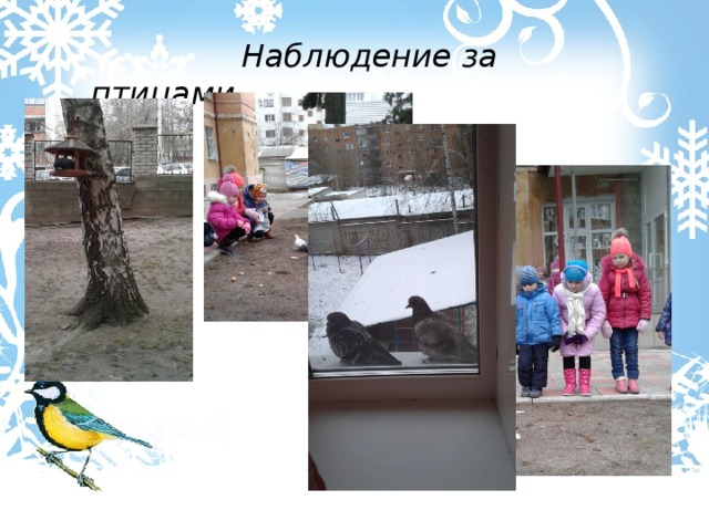  Наблюдение за птицами. 