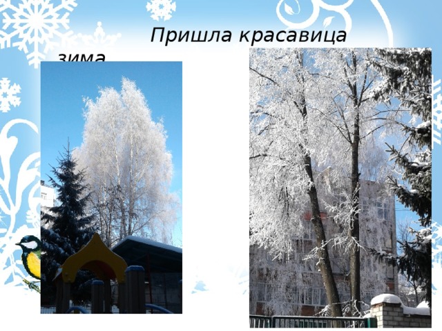 Пришла красавица зима. 