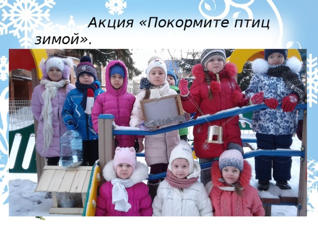  Акция «Покормите птиц зимой». 