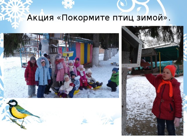  Акция «Покормите птиц зимой». 