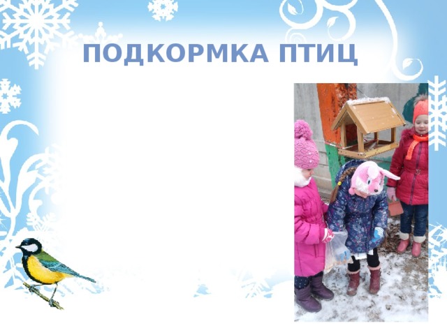 Подкормка птиц 