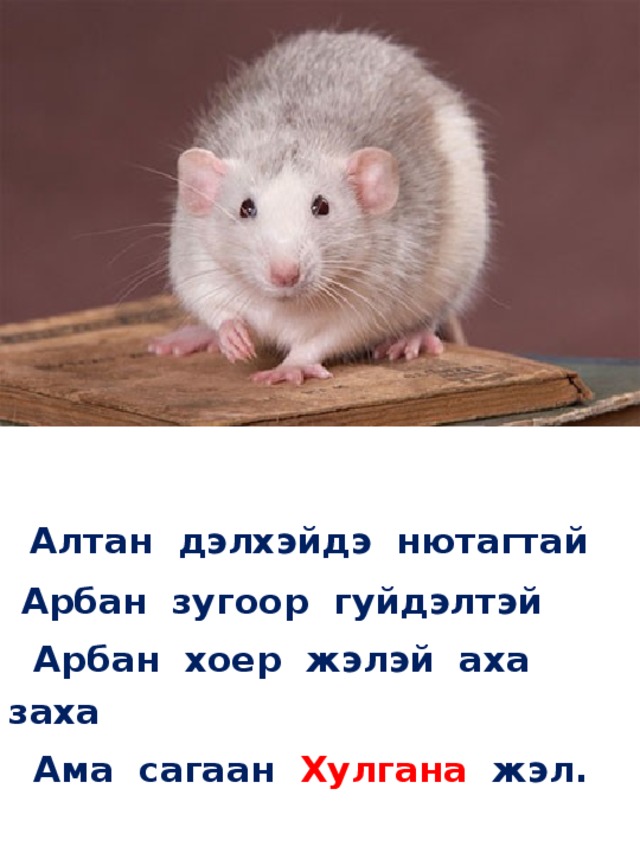   Алтан дэлхэйдэ нютагтай  Арбан зyгоор гуйдэлтэй   Арбан хоер жэлэй аха заха   Ама сагаан Хулгана жэл. 