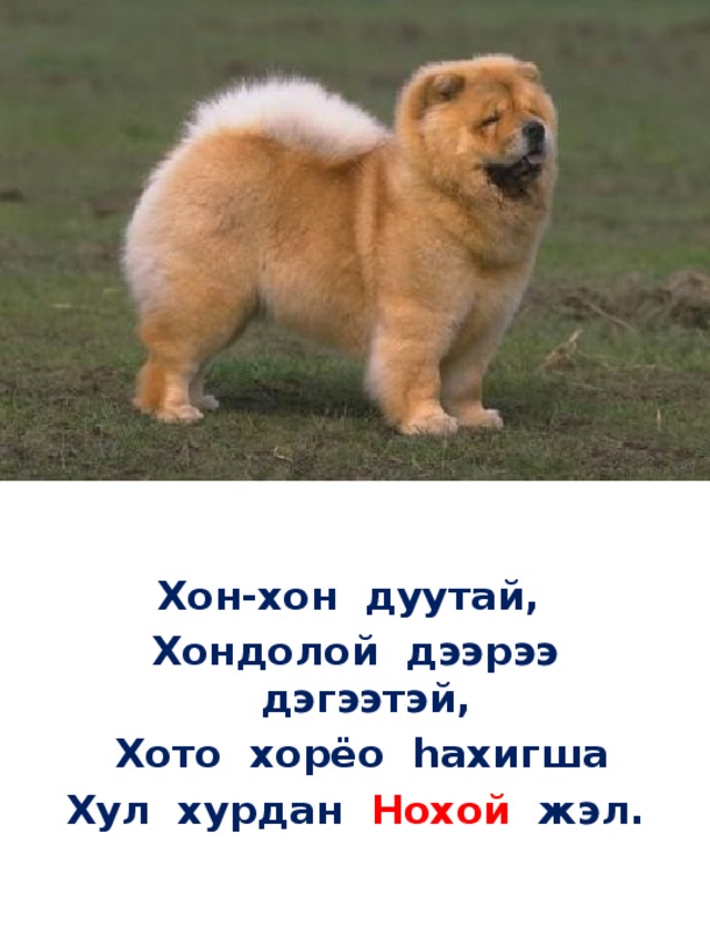  Хон-хон дуутай,  Хондолой дээрээ дэгээтэй,  Хото хорёо hахигша  Хул хурдан Нохой жэл. 