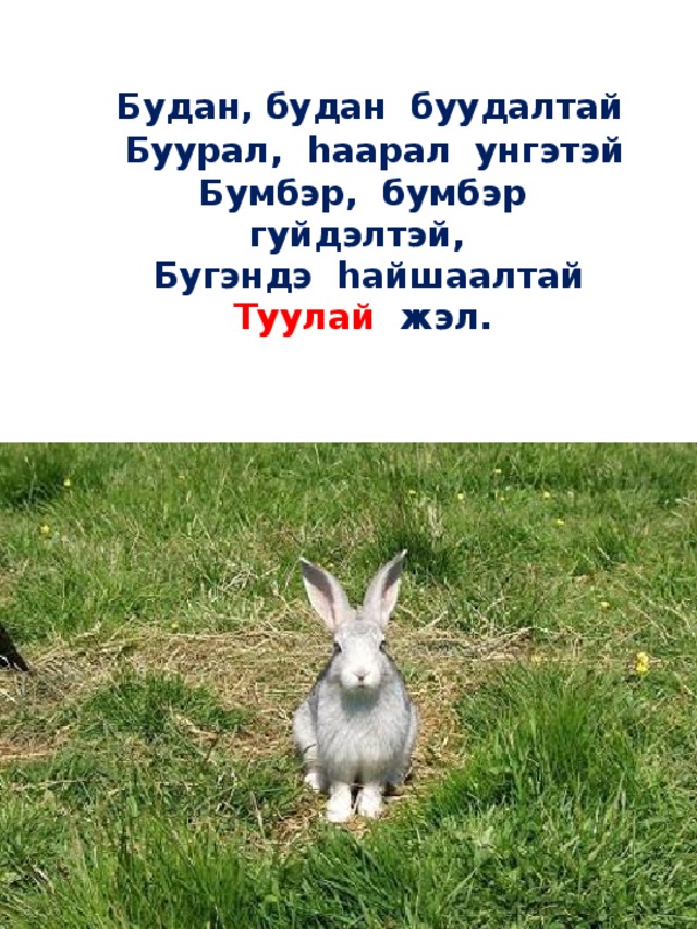  Будан, будан буудалтай    Буурал, hаарал унгэтэй  Бумбэр, бумбэр гуйдэлтэй,    Бугэндэ hайшаалтай Туулай жэл.   
